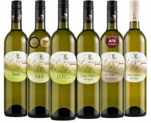 10-års Jubilæumssmagskasse - Grüner Veltlinere Vinhuset HuM Hofer, biodynamiske vine, Auerstal Østrig