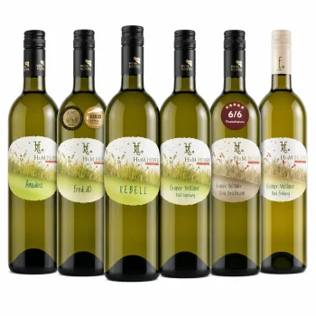 10-års Jubilæumssmagskasse - Grüner Veltlinere Vinhuset HuM Hofer, biodynamiske vine, Auerstal Østrig